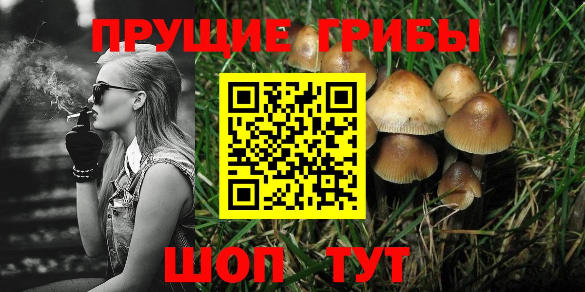 Псилоцибиновые грибы Psilocybe  Псилоцибиновые грибы Psilocybe  Гулькевичи  Вход с VPN 