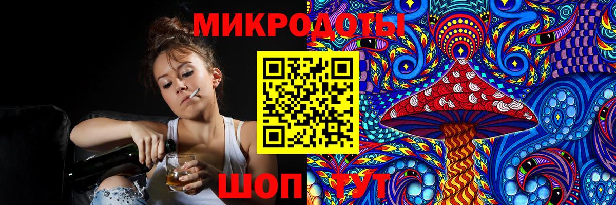 Псилоцибиновые грибы Psilocybe Гулькевичи